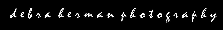 debra herman photography - logo graphic